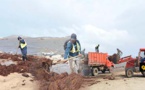 بعد الرياح القوية.. وكالة مارتشيكا تنظف كورنيش الناظور من الأعشاب والطحالب البحرية 