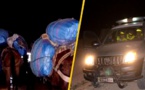 الدريوش.. عناصر الدرك الملكي بقاسيطة تحجز كمية مهمة من المخدرات محملة على ظهر 7 بغال وتعتقل 3 متورطين