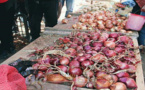 أسعار البصل تواصل الإرتفاع في الأسواق المحلية وتتجاوز أثمان التفاح و الموز‎