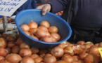 وزارة الفلاحة تكشف أسباب ارتفاع أثمنة البصل خلال رمضان ووضعية إنتاج الطماطم