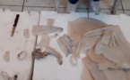 شاهدوا.. هكذا يزور التجار  منتجا مسموما ويقدمونه للزبناء على أنه  سمك "الكلامار"