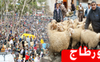 السوق الأسبوعي بأزغنغان يسجل تقاسم الكسابين والمواطنين لهموم إرتفاع أسعار أضاحي العيد والمواد العلفية