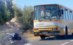ارتطام حافلة تقل مسافرين من الناظور بـ"عجل" نواحي طنجة تثير استياء عارما بعد تعطيل مصالحهم