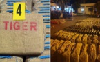 ابتدائية الناظور تدين المتورطين في حيازة 12 طنا من الحشيش بـ"إعزانن" بـ سنوات سجنا 10 لكل متهم