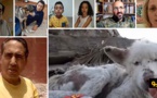 شاهدوا.. ناظوريون يوجهون دعوة لوقف حملات إبادة الكلاب عبر فيديو ناطق بكل لغات العالم