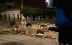 كارثة تتكرر كل أسبوع.. بائعو الخضر يحولون الشارع الرئيسي بسلوان لكومة أزبال والسلطات في سبات عميق 