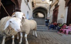 علماء فلكيون يكشفون موعد عيد الأضحى بالمغرب