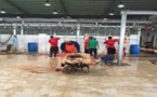 بلدية الناظور تعلن عن فتح أبواب مجزرة في وجه الراغبين في ذبح الأضاحي خارج منازلهم