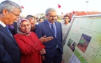 إعطاء انطلاقة مشروع لغرس 100 هكتار من شجر التين ببركان