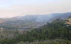 حريق يتلف 65 هكتارا من غابة عشاشة تاسيفت بين شفشاون والحسيمة