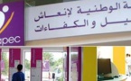 الوكالة الوطنية لإنعاش التشغيل بالناظور تنفي وجود عروض عمل من شركة فرنسية لفائدة ساكنة الإقليم