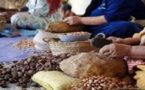 ملتقى جهوي بالحسيمة يناقش قضايا التعاونيات الفلاحية النسوية بالجهة 