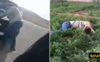 شاهدوا بالفيديو..  فلاح يدهس قائدا بسيارته ويلوذ بالفرار