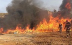 بالصور.. الجمارك تقوم بإتلاف ازيد من 111 مليون درهم من المخدرات بالناظور