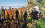 جمعية "آيت سعيذ للقنص وحماية البيئة" تشرع في إحاشة الخنزير البري بأمجاو ودار الكبداني 