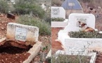 مريع بالصور.. الكلاب تنتهك حرمة مقبرة "سيدي سالم" بالناظور: تحفر القبور وتنهش جثث الموتى