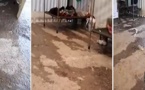 شاهدوا الظروف اللإنسانية التي يعيشها مغاربة داخل "مخيم العار" بعدما علقوا بمليلية بسبب كورونا