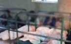 صحف إسبانية تكشف عن فضيحة.. اغتصاب مغربيات عالقات بمليلية المحتلة