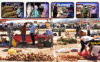 بعد تخفيف إجراءات الحجر الصحي.. سلطات الدريوش تفتتح السوق الأسبوعي الجديد بجماعة امطالسة