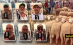  إنخفاض كبير في أثمنة أضاحي العيد بالسوق الاسبوعي بني وكيل و "الكسابة" يعزون السبب الى الجائحة 