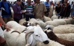 ترقيم أزيد من 7.2 مليون رأس من أضاحي العيد بينها 720 ألف بالجهة الشرقية