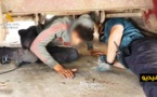 شاهدوا.. انتشال 8 مهاجرين سريين من تحت أطنان الخردة