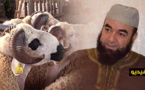 الشيخ نجيب الزروالي.. هل الأفضل الأضحية أم الصدقة؟