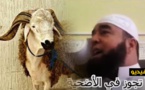 الشيخ نجيب الزروالي.. أربع لا تجوز في الأضحية