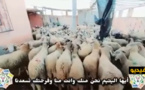  بمناسبة عيد الأضحى المبارك.. جمعية حق اليتيم والضعيف توزع 300 أضحية على الأسر المعوزة