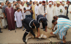 المجلس العلمي بالناظور.. هذا توقيت صلاة العيد ونحر الأضاحي