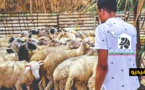 للسنة الثالثة على التوالي.. منظمة رامي توزع أضاحي العيد على المحتاجين وتشكر المحسنين المساهمين 