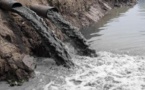 وثيقة.. قرار حكومي لاستيراد الغائط والبول يثير ضجة بين المغاربة