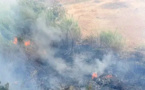 حريق مهول يلتهم مساحة مهمة من الغطاء النباتي ببني شيكر