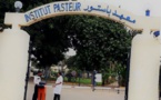 معهد باستور يؤكد استمرارية إجراء تحاليل PCR للكشف عن فيروس كورونا