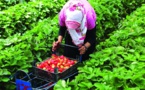 وفاة فتاة قاصر داخل ضيعة فلاحية في الشمال بعد أن دهستها آلة لرشّ المبيدات 