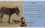 بيع جماعة لحمار في المزاد العلني يثير موجة من السخرية على مواقع التواصل الاجتماعي 