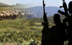 تونس.. إرهابيون "يذبحون" شابا في ولاية "القصرين"