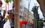 تدخل إنساني.. رجال الوقاية المدنية بالناظور يتقذون "قطة" علقت بأعلى شجرة بحي لعراصي