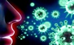 تحقيقات منظمة الصحة العالمية تصل إلى أصل "بؤرة" انتشار فيروس كورونا