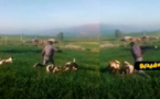 سخط عارم على مواقع التواصل الاجتماعي بسبب فيديو يوثق لاعتداء على امرأة بالضرب