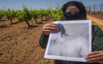  مدير مزرعة بإسبانيا  يواجه أربع سنوات ونصف سجنا  بتهمة التحرش بمغربيات ومحاولة اغتصابهن