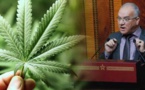  شاهدوا.. برلماني يدافع عن الكيف ويدعو المغاربة لاستهلاكه للحد من الجرائم 