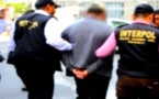 صيد ثمين.. "انتربول" المغرب يعتقل فرنسي متورط في شبكة للتهريب الدولي للمخدرات