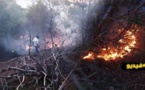 حريق بالغابة المحيطة بمقبرة سيدي سالم يأتي على مساحة هامة من الغطاء النباتي‎