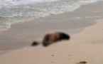 صادم.. العثور على جثة سيدة ثلاثينية وابنها القاصر لفضهما شاطئ "بريش" ضواحي مدينة طنجة