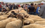 تزامنا مع عودة أفراد الجالية.. أسعار الأضاحي تلتهب في الأسواق قبيل العيد