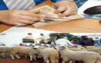 الحكومة تقرر صرف أجور الموظفين يوم 16 يوليوز بمناسبة عيد الأضحى