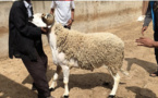 الأحد فاتح ذي الحجة وعيد الأضحى يوم 20 يوليوز بعدد من الدول العربية