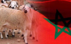 رسميا يوم الأربعاء 21  يوليوز عيد الأضحى بالمغرب