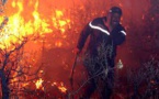 المغرب يستعد لمد يد المساعدة للجزائر في مواجهة حرائق الغابات